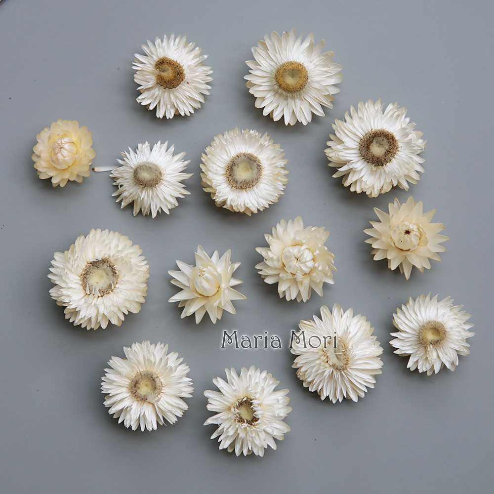 Hair Care Nature - 天然のドライでカラフルな菊の花輪,手作りのヘアアクセサリー,樹脂製品,アロマテラピーキャンドル