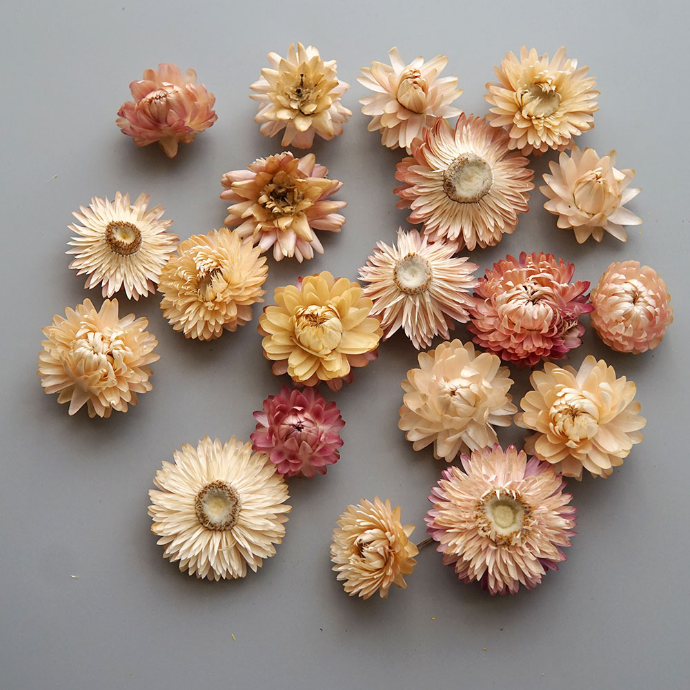 天然のドライでカラフルな菊の花輪,手作りのヘアアクセサリー, - Hair Care Nature のレビューと価格